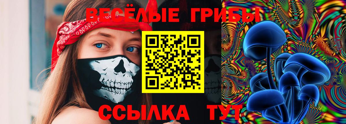 Псилоцибиновые грибы Psilocybine cubensis  Вход с VPN  Псилоцибиновые грибы мухоморы  Егорьевск 