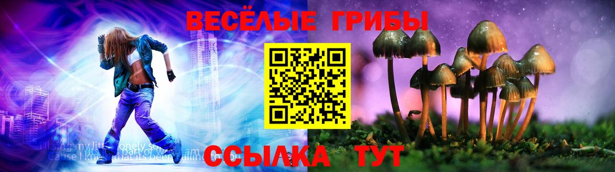 Псилоцибиновые грибы Psilocybine cubensis Егорьевск